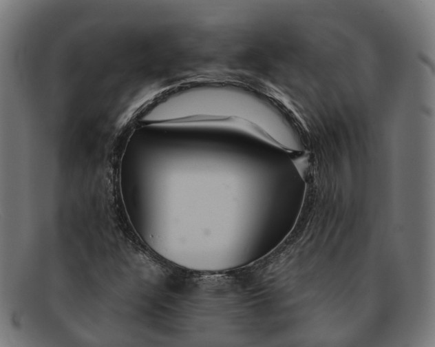 X0000091491304200709131823