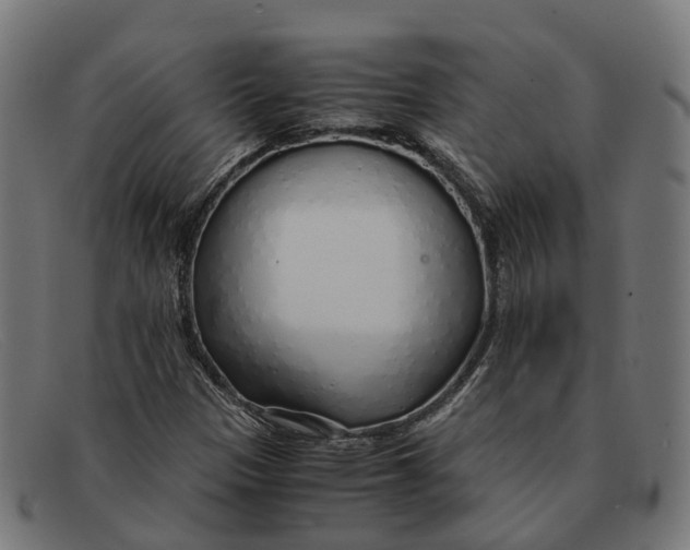 X0000091491305200709131823
