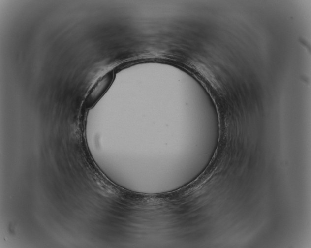 X0000091491308200709131823