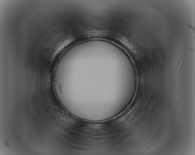 X0000091491309200709131823