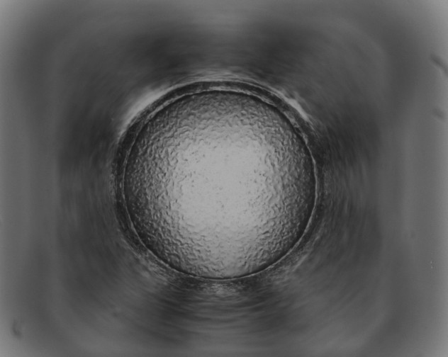 X0000091491311200709131823
