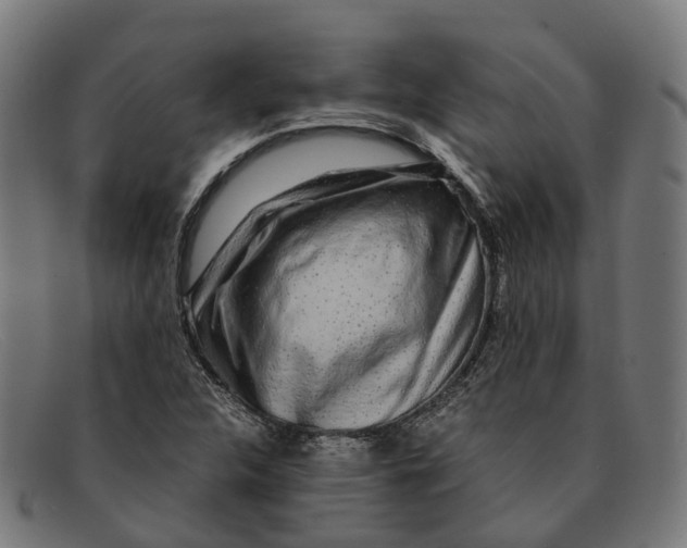 X0000091491312200709131823