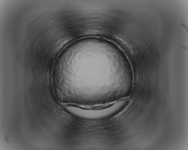 X0000091491313200709131823