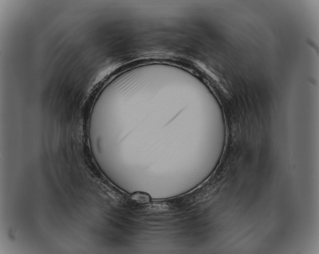 X0000091491315200709131823