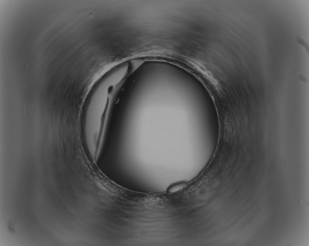 X0000091491316200709131823