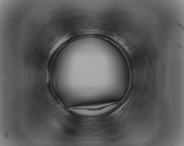 X0000091491317200709131823