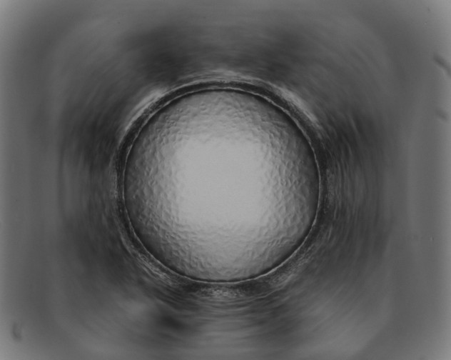 X0000091491318200709131823