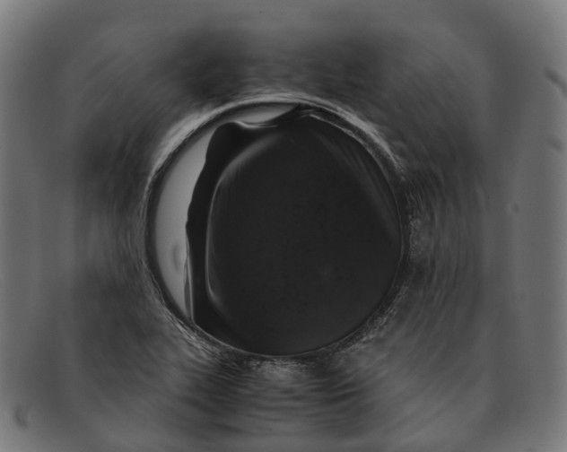 X0000091491319200709131823