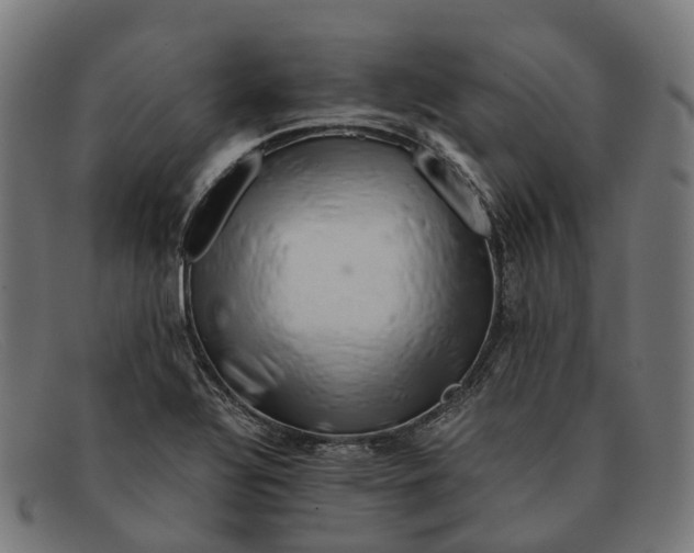 X0000091491320200709131823