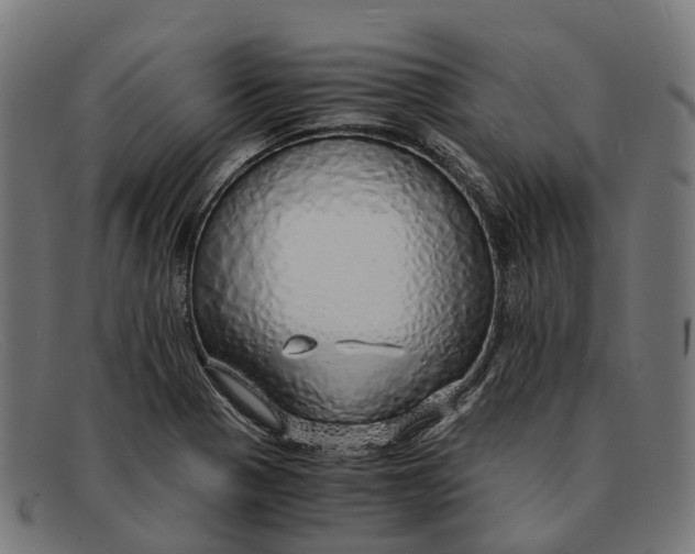 X0000091491321200709131823
