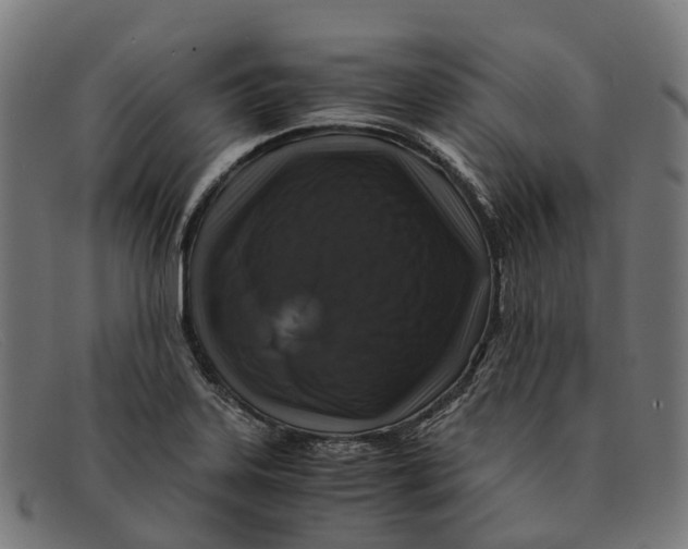 X0000091491323200709131823