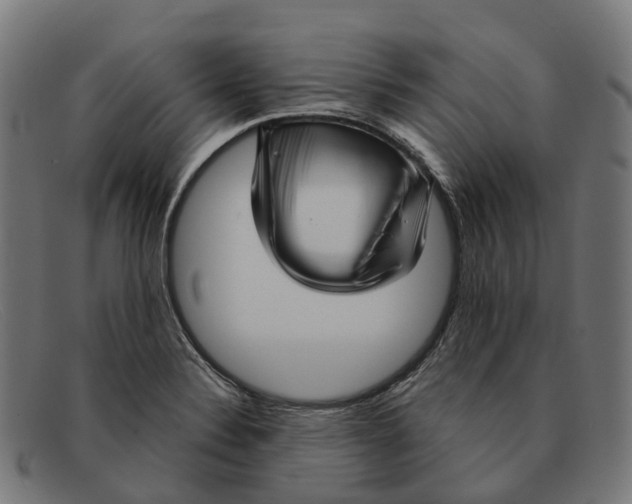 X0000091491324200709131823