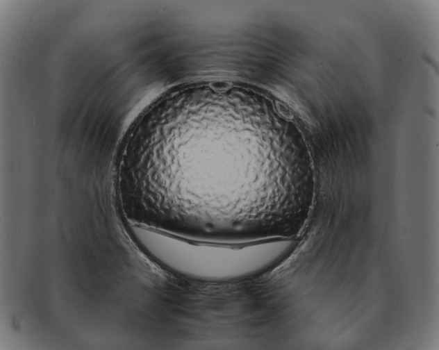 X0000091491325200709131823