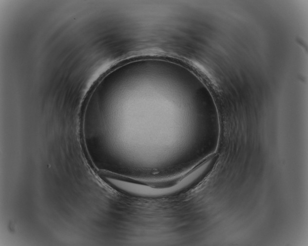 X0000091491326200709131823