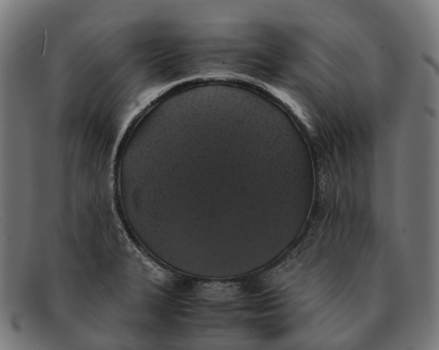 X0000091491327200709131823