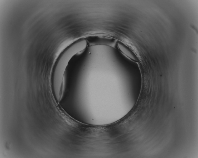 X0000091491328200709131823