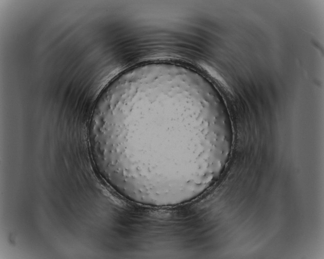 X0000091491329200709131823