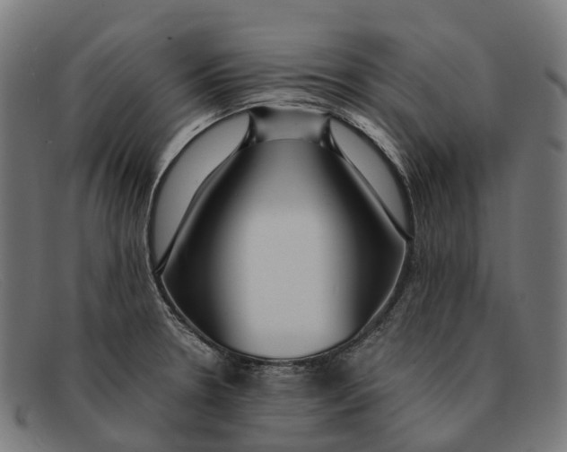 X0000091491330200709131823