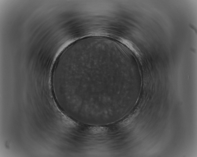 X0000091491331200709131823