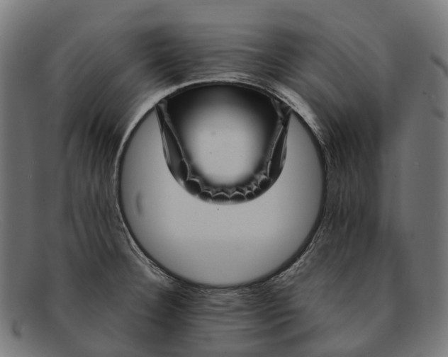 X0000091491332200709131823