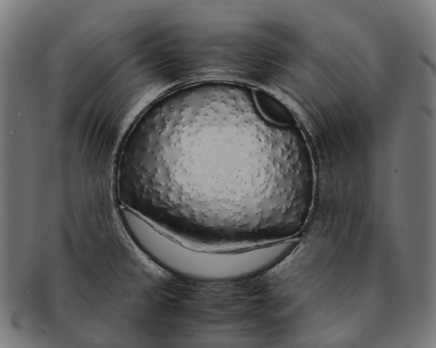 X0000091491333200709131823