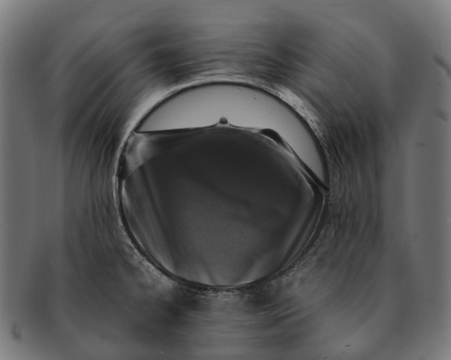 X0000091491334200709131823