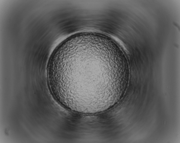 X0000091491335200709131823