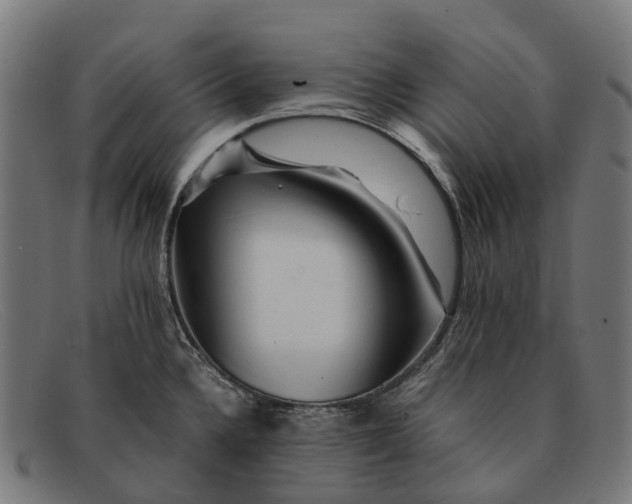 X0000091491336200709131823