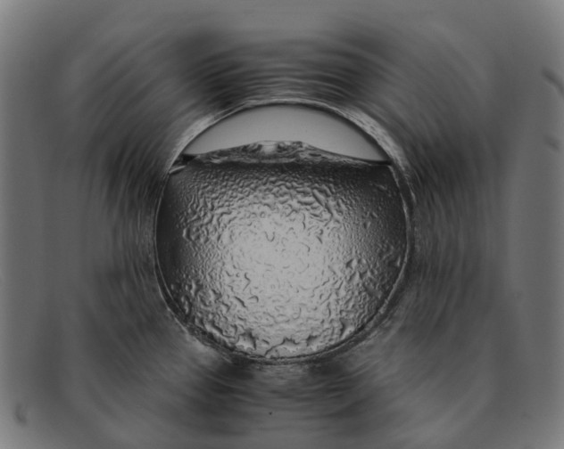 X0000091491337200709131823