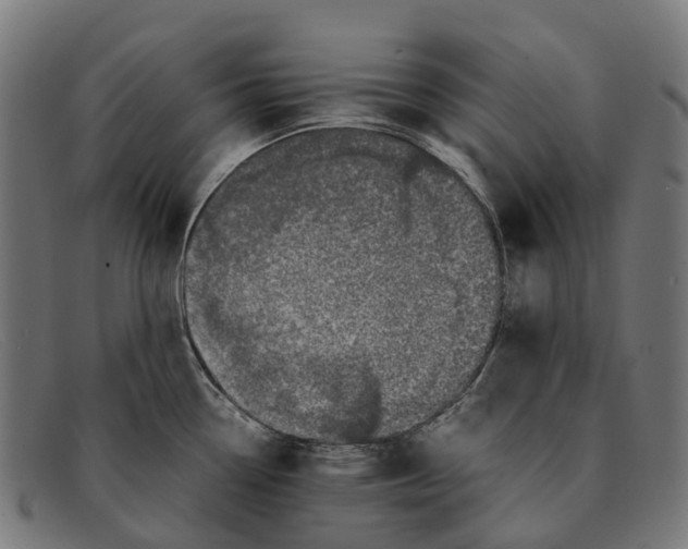 X0000091491338200709131823