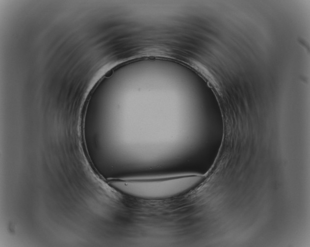 X0000091491339200709131823