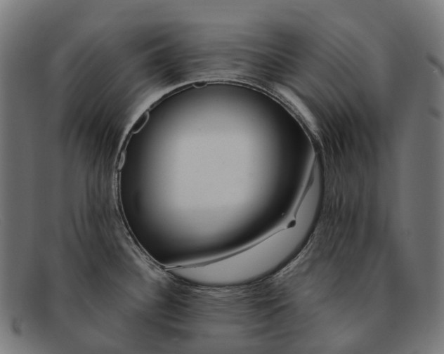 X0000091491340200709131823