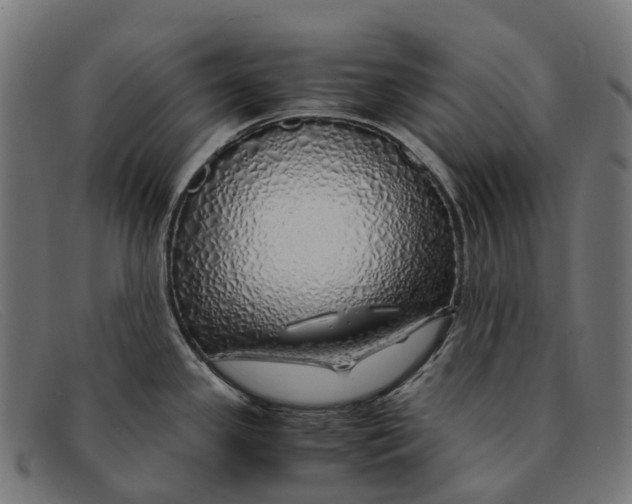 X0000091491341200709131823