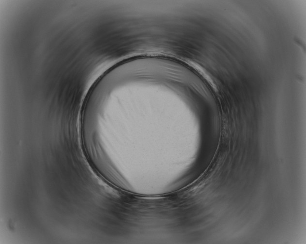 X0000091491343200709131823