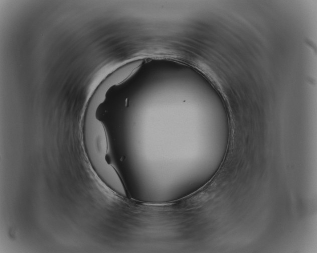 X0000091491344200709131823