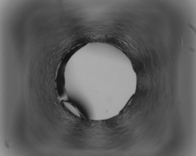 X0000091491345200709131823