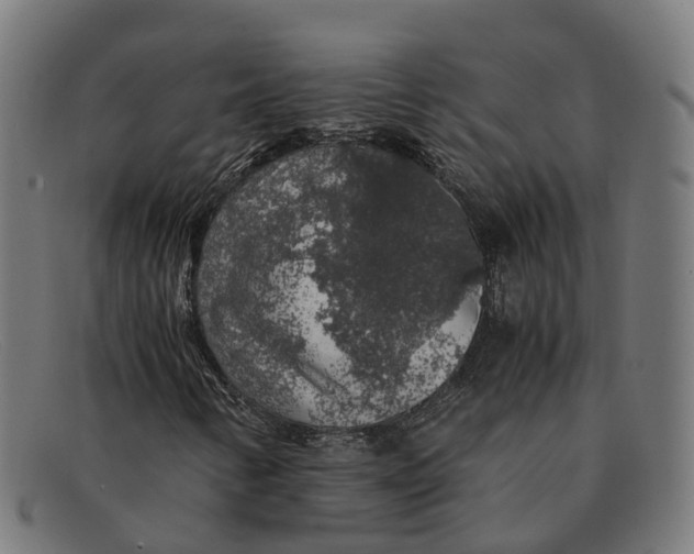 X0000091491346200709131823