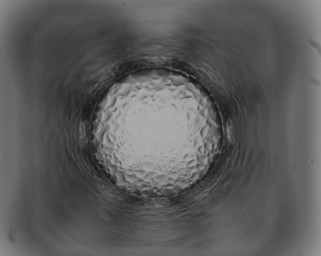 X0000091491347200709131823