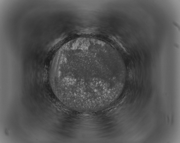 X0000091491350200709131823