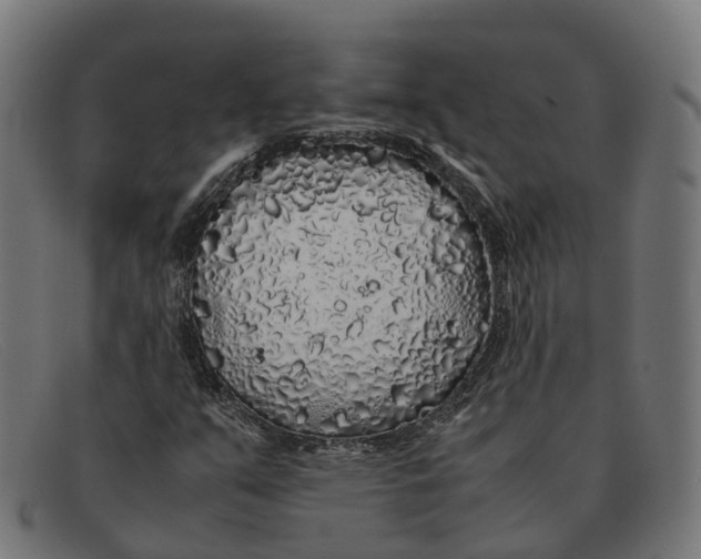 X0000091491351200709131823
