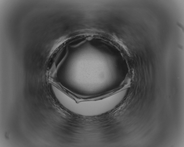 X0000091491352200709131823