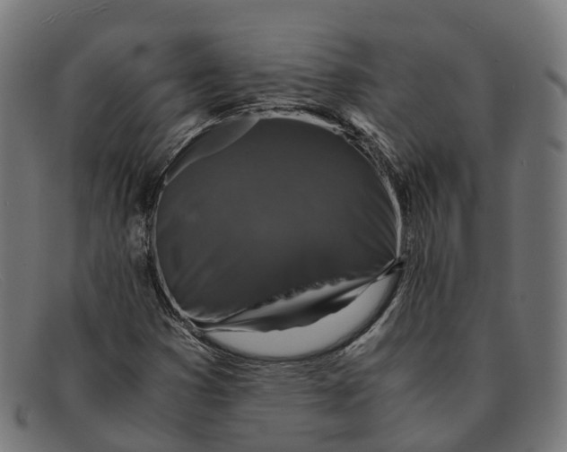 X0000091491353200709131823