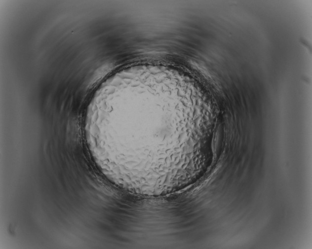 X0000091491354200709131823