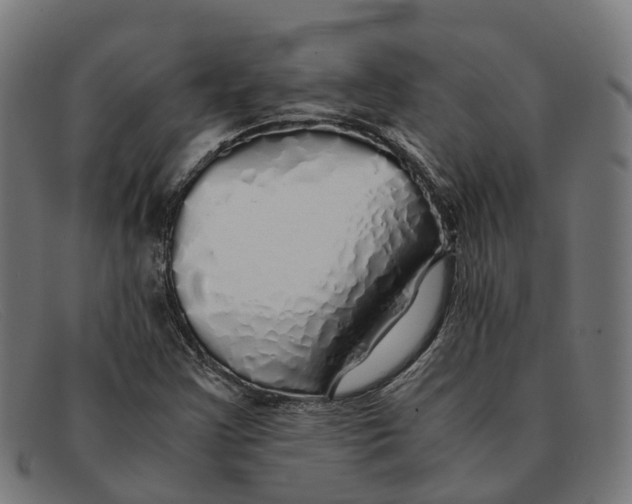 X0000091491355200709131822