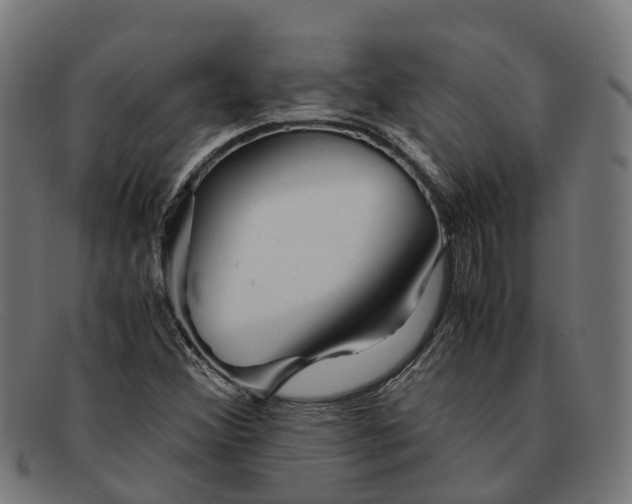 X0000091491356200709131822