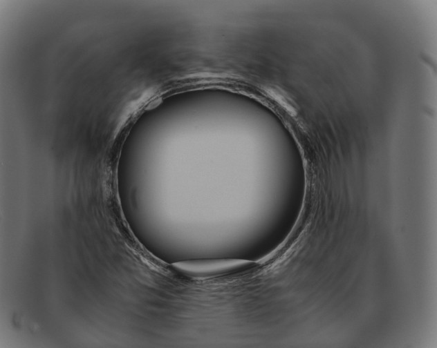 X0000091491357200709131822