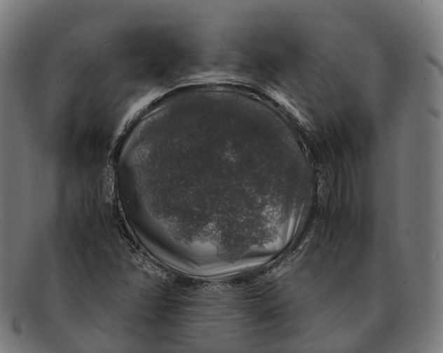 X0000091491358200709131822