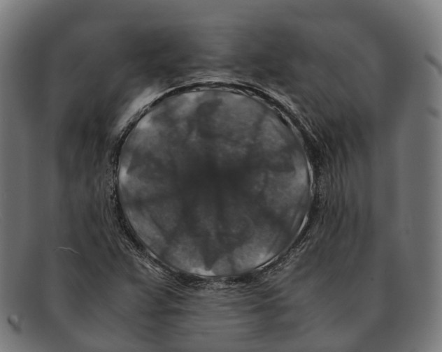 X0000091491359200709131822