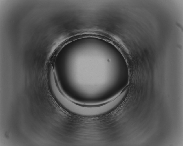X0000091491360200709131822