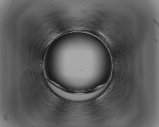 X0000091491361200709131822